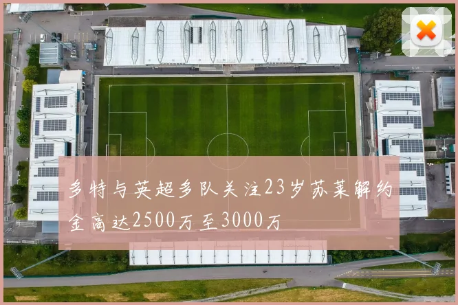 多特与英超多队关注23岁苏莱解约金高达2500万至3000万